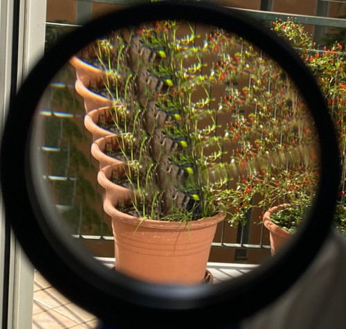 Rowi multiple image lens - multiple, 6l
